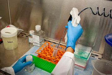 Close up image taken through the glass panel of a sterile biosafety hood. A woman researcher is using a pipette to measure a sample inside the cabinet under sterile conditions.