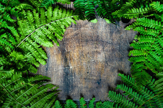 Fern leaves arranged on a wooden table