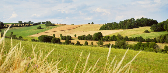 Blick vom Feldrand