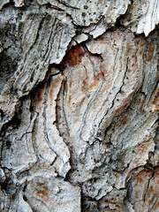 background texture wallpaper using tree bark structure, wood and straw products in Podlasie, Poland