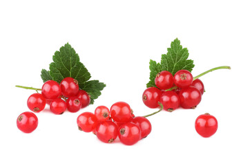 Currant berries isolated on white background