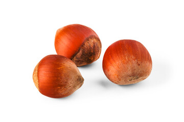 Hazelnuts