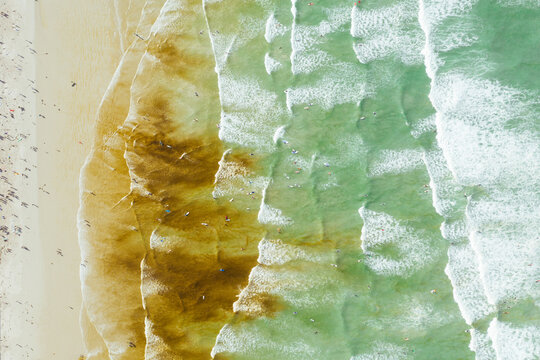 Aerial view of surfers at Muizenberg Beach, Cape Town, South Africa