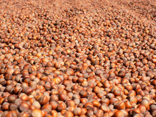 there are a lot of organic nuts