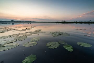 Sunrise over the bug river © Krzysztof