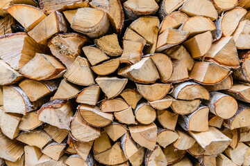 Fototapeta premium Woodpile is stacked in rows of birch wood.