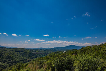 苗木城跡からの景色