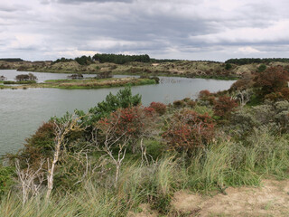 view on a lake in the dunes of Overveen in the Netherlands