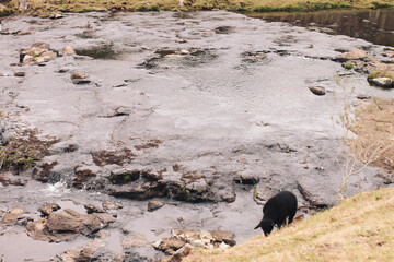 Fototapeta premium bom jardim da serra 