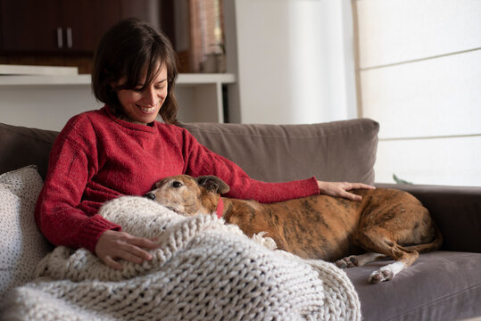 woman and dog resting on sofa