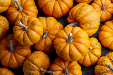 Beautiful mini pumpkins for holiday decoration, seasonal vegetables