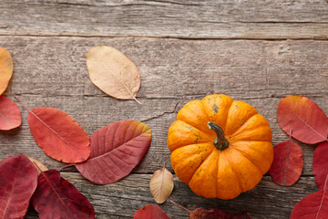 Beautiful mini pumpkin and autumn leaves on wooden planks background, copy space