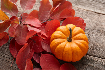 Beautiful mini pumpkin and autumn leaves on wooden planks background