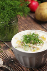 Russian traditional cold soup okroshka