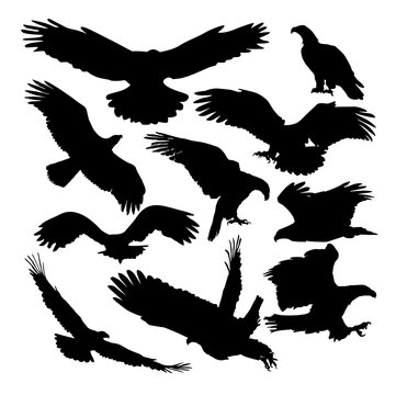 set of  silhouettes eagle  vector