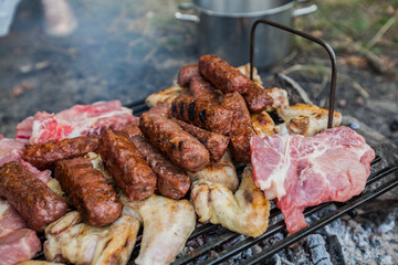 Grilled Meat , summer picnic , cooking food outdoor