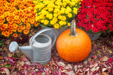 fall display 6418 MO