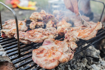 Grilled Meat , summer picnic , cooking food outdoor