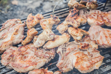 Grilled Meat , summer picnic , cooking food outdoor