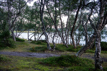 landscape with sea and coastline against the background of blue clouds and the setting sun on the northern island