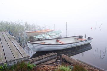 Fototapeta na wymiar Stensjön - Misty Morning at the lake