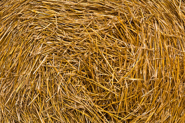 Background from pressed wheat straw