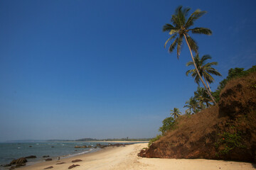 Tropical scenery with pal trees and blue sky. Goa, India