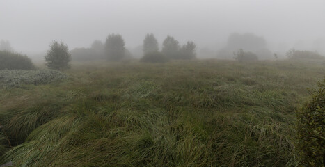 Das Hohe Venn in der Nähe von Monschau im Nebel.