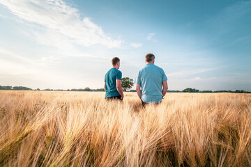 Ackerbau - Düngeverordnung, zwei Landwirte stehen am Abend in einem Getreidefeld