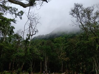 Chaing rai ดชียงรายดอยนางนอน