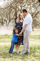 Fototapeta premium pregnant mother, father hold hands daughter enjoy nature and walk in spring blooming park. Young family spending time together on vacation, outdoors. The concept of family holiday.