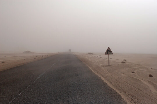 Inside the sandstorm
