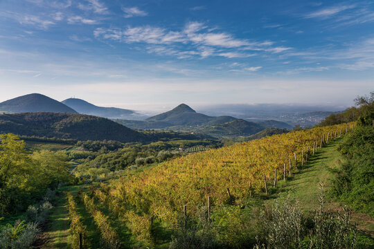 autumn landscape in the mountains