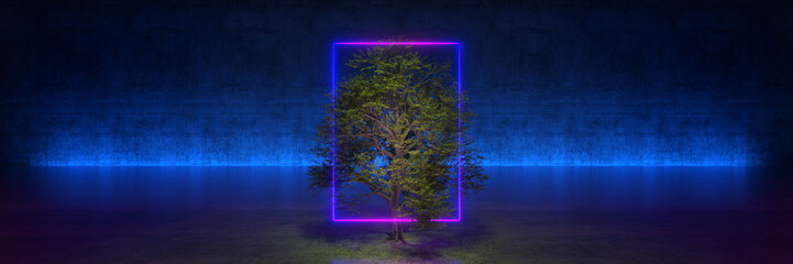 tree with frame on black background. 3d rendering