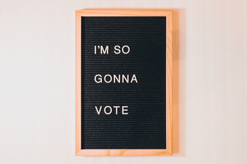 I'm So Gonna Vote Letterboard Landscape