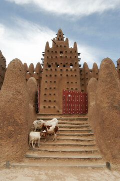 Goats on the staircase of the eastern entrance of Great Mosque o
