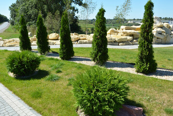 Fototapeta premium Design of landscaping in the garden, park, square, recreation area