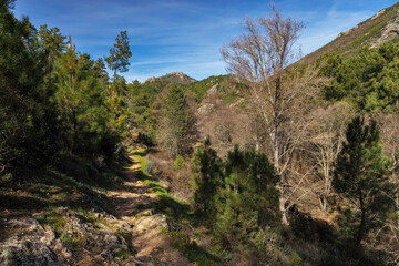 Fototapeta na wymiar Landscape with rural path in Extremadura. Spain.