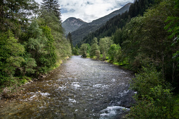 Fototapeta na wymiar Mountian river surrounded by trees in Austrian Alps. 
