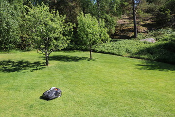 Robotic lawnmower, Sweden - 374989330