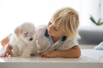 Cute little blond child, toddler boy, playing with white puppy maltese dog