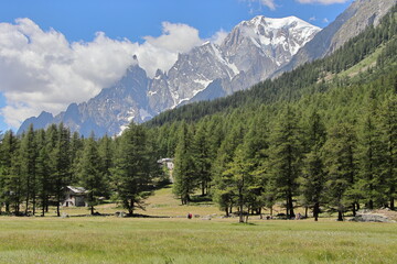 Fototapeta na wymiar Majestic mountains dominating the skyline in Val Ferret, Aosta Valley. 