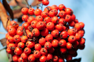 carpenter makes pencil marks and level