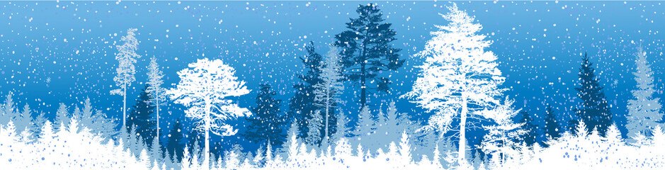 blue fir forest panorama under snowfall