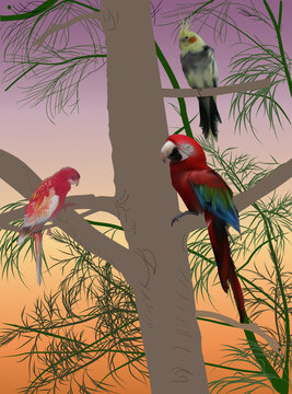 Three Bright Color Parrots On Brown Tree