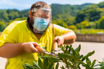 Worker in a recycling factory or clean point and garbage with a face mask and plastic protective screen, new normal, coronavirus pandemic, covid-19. Cutting and arranging the herbs