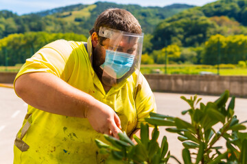 Worker in a recycling factory or clean point and garbage with a face mask and plastic protective screen, new normal, coronavirus pandemic, covid-19. Cutting and arranging the herbs