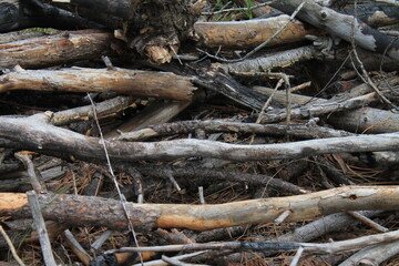 Log Pile