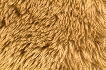 light brown fur texture