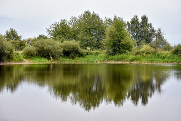 Fototapeta na wymiar lake in the forest
